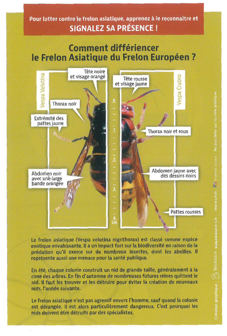 Plan de travail 25@2x-100