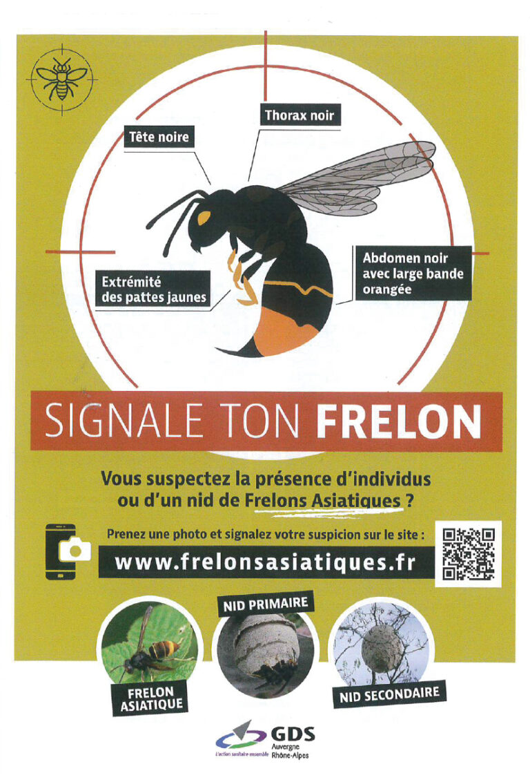 Plan de travail 26@2x-100